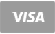 Visa Zahlungsmethode bei PlayZilla Casino